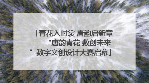 青花入时裳 唐韵启新章——“唐韵青花 数创未来”数字文创设计大赛启幕