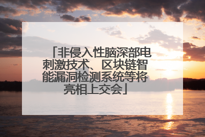 非侵入性脑深部电刺激技术、区块链智能漏洞检测系统等将亮相上交会