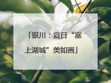 银川：夏日“塞上湖城”美如画