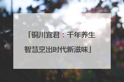 铜川宜君：千年养生智慧烹出时代新滋味