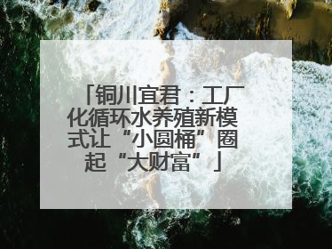 铜川宜君：工厂化循环水养殖新模式让“小圆桶”圈起“大财富”