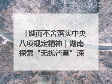 锲而不舍落实中央八项规定精神|湖南探索“无扰督查”深化基层减负