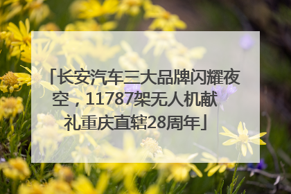 长安汽车三大品牌闪耀夜空，11787架无人机献礼重庆直辖28周年