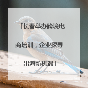 长春举办跨境电商培训，企业探寻出海新机遇