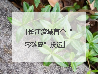 长江流域首个“零碳岛”投运