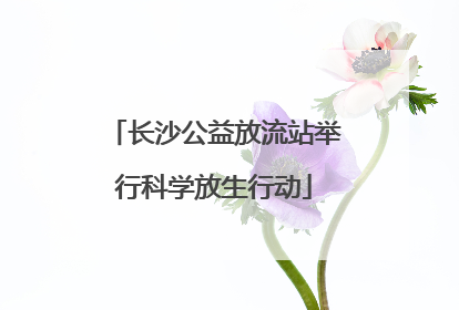 长沙公益放流站举行科学放生行动