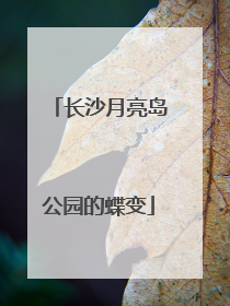 长沙月亮岛公园的蝶变