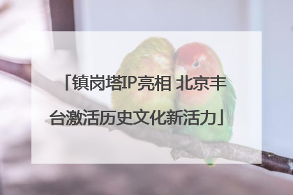 镇岗塔IP亮相 北京丰台激活历史文化新活力
