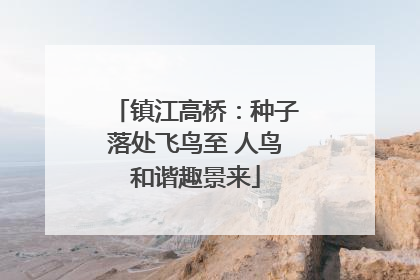 镇江高桥：种子落处飞鸟至 人鸟和谐趣景来