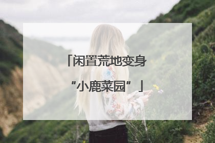 闲置荒地变身“小鹿菜园”