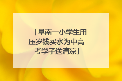 阜南一小学生用压岁钱买水为中高考学子送清凉