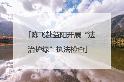陈飞赴益阳开展“法治护绿”执法检查