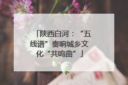 陕西白河：“五线谱”奏响城乡文化“共鸣曲”