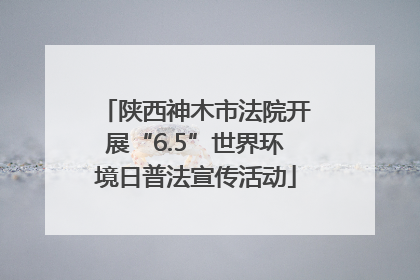 陕西神木市法院开展“6.5”世界环境日普法宣传活动