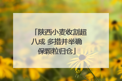 陕西小麦收割超八成 多措并举确保颗粒归仓