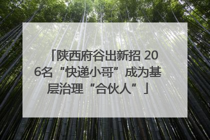 陕西府谷出新招 206名“快递小哥”成为基层治理“合伙人”
