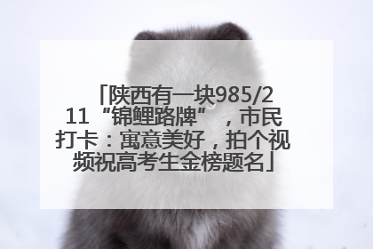 陕西有一块985/211“锦鲤路牌”，市民打卡：寓意美好，拍个视频祝高考生金榜题名