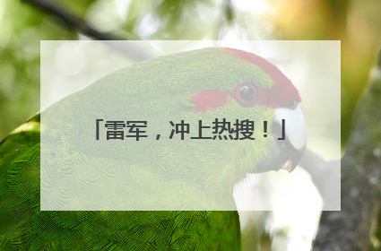 雷军，冲上热搜！