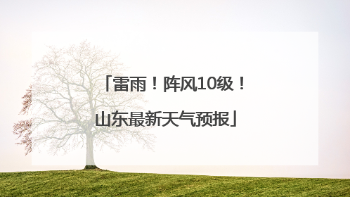 雷雨！阵风10级！山东最新天气预报