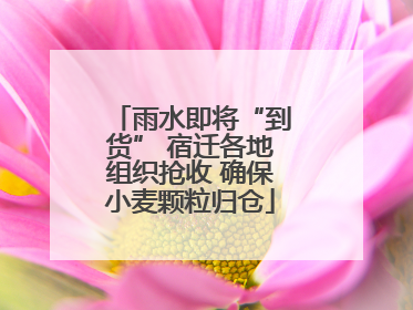 雨水即将“到货” 宿迁各地组织抢收 确保小麦颗粒归仓
