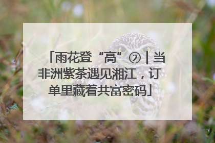 雨花登“高”②｜当非洲紫茶遇见湘江，订单里藏着共富密码