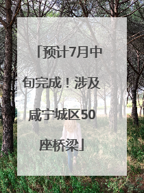 预计7月中旬完成！涉及咸宁城区50座桥梁