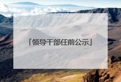 领导干部任前公示