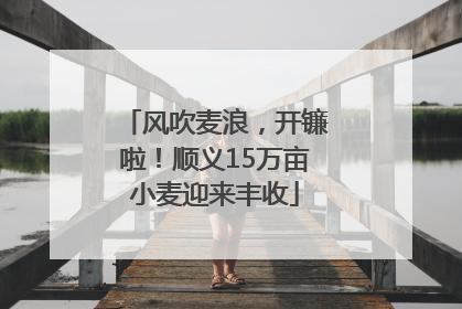 风吹麦浪，开镰啦！顺义15万亩小麦迎来丰收