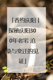 香约庆阳丨探秘庆阳300年老宅 沧桑与变迁的见证