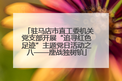 驻马店市直工委机关党支部开展“追寻红色足迹”主题党日活动之八——鏖战独树镇