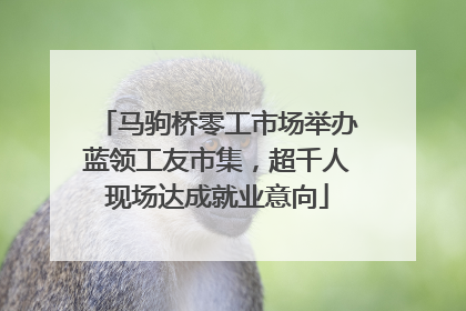 马驹桥零工市场举办蓝领工友市集，超千人现场达成就业意向