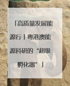 高质量发展能源行丨粤港澳能源科研的“超级孵化器”
