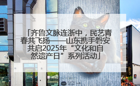 齐鲁文脉连浙中，民艺青春共飞扬——山东携手磐安共启2025年“文化和自然遗产日”系列活动