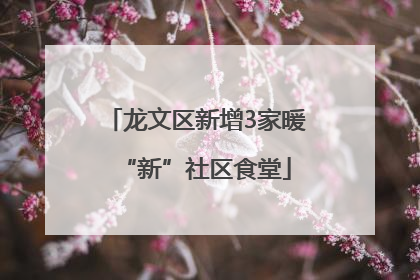 龙文区新增3家暖“新”社区食堂