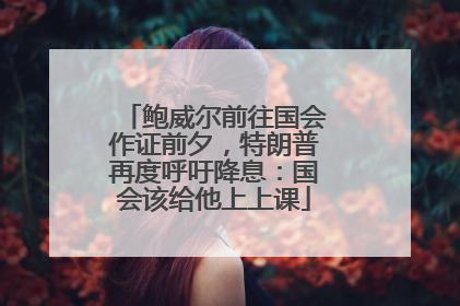 鲍威尔前往国会作证前夕，特朗普再度呼吁降息：国会该给他上上课