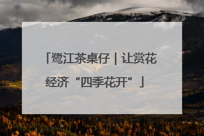 鹭江茶桌仔｜让赏花经济“四季花开”
