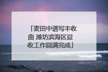 麦田中谱写丰收曲 潍坊滨海区夏收工作圆满完成