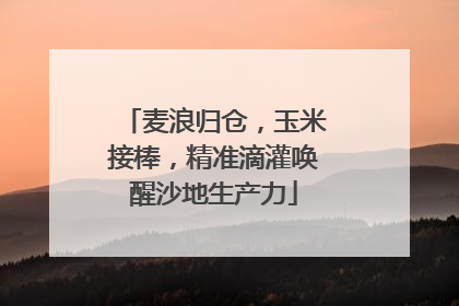 麦浪归仓，玉米接棒，精准滴灌唤醒沙地生产力