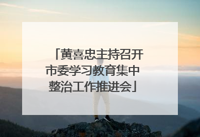 黄喜忠主持召开市委学习教育集中整治工作推进会