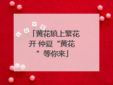 黄花镇上繁花开 仲夏“黄花”等你来