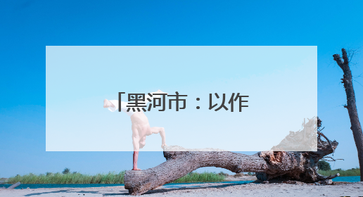 黑河市：以作风建设赋能 经济发展绽新彩