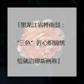 黑龙江省桦南县：“三色”匠心织锦绣 绘就治理新画卷