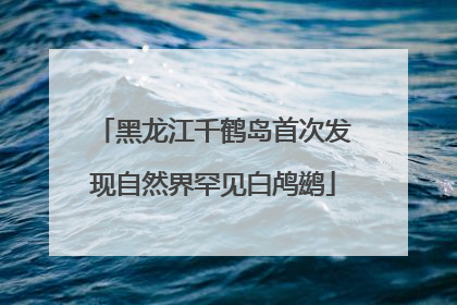 黑龙江千鹤岛首次发现自然界罕见白鸬鹚