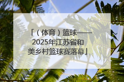 （体育）篮球——2025年江苏省和美乡村篮球赛落幕