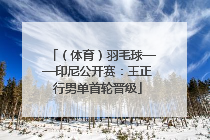 （体育）羽毛球——印尼公开赛：王正行男单首轮晋级