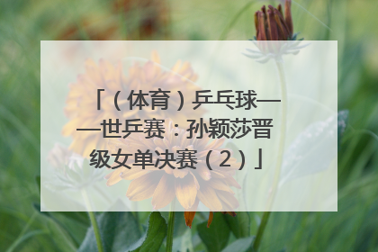 （体育）乒乓球——世乒赛：孙颖莎晋级女单决赛（2）