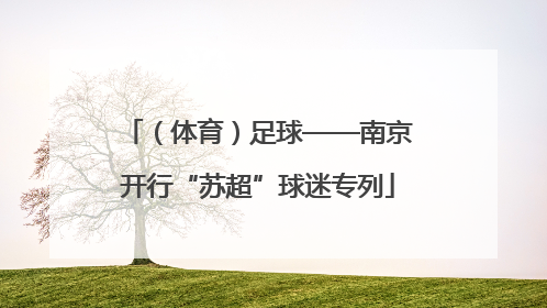 （体育）足球——南京开行“苏超”球迷专列