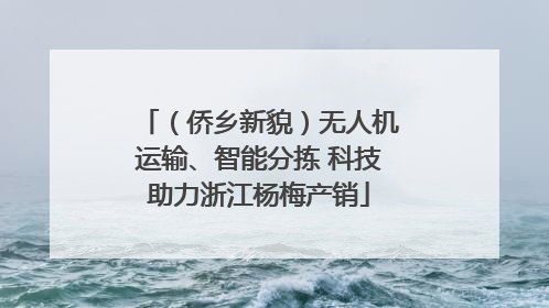 （侨乡新貌）无人机运输、智能分拣 科技助力浙江杨梅产销