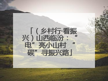 （乡村行·看振兴）山西临汾：“电”亮小山村 “碳”寻振兴路