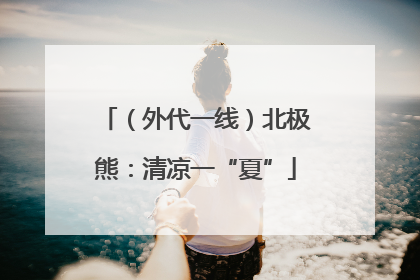 （外代一线）北极熊：清凉一“夏”